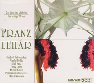 membran_lehar_2006-300x267