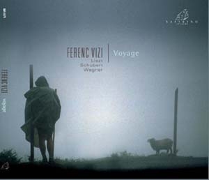 cd_ferenc_vizi-300x258