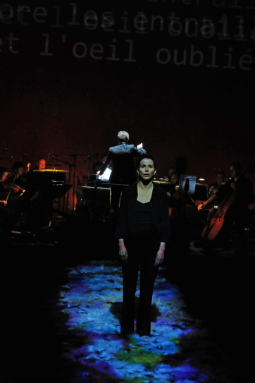 DSC_4830 © Luc Hossepied (2)