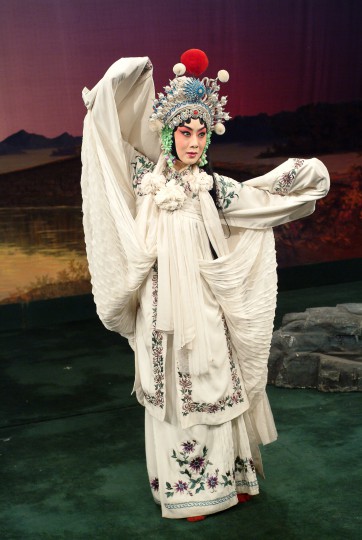 Legend of the White Snake