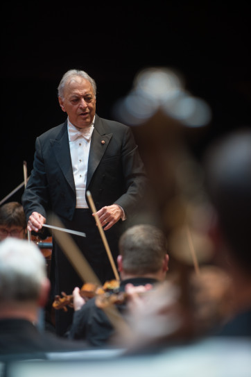 Festivalzelt_30.8.15-3