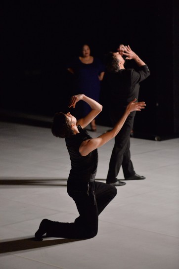 Cartel-MichelSchweizer©Frédéric Desmesure