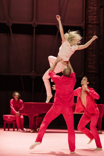 Rose variation (4) © Arno Paul