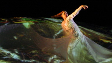 double_vision_c Electronic Shadow