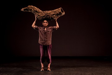 VERAMANTERO_OS SERRENHOS DO CALDEIR+ÉO_Humberto Ara+›jo-WEB-horizontal