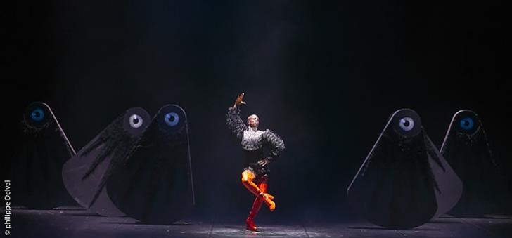 ballet_royal_de_la_nuit_c_philippe_delval_10