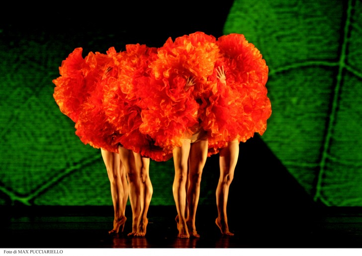 Viva Momix Forever 6 © Max Pucciariello