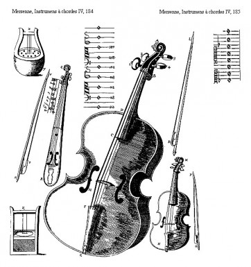 Violon 8