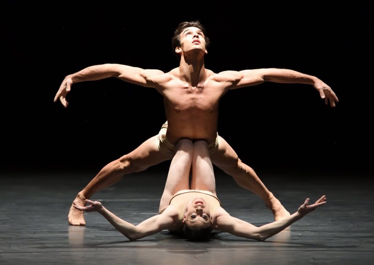 Petite Mort (c) Roman Novitzky